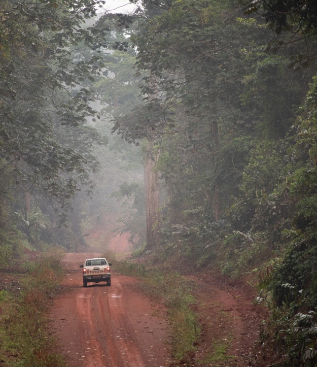 Le foreste ALPI in Camerun ottengono la certificazione FSC®