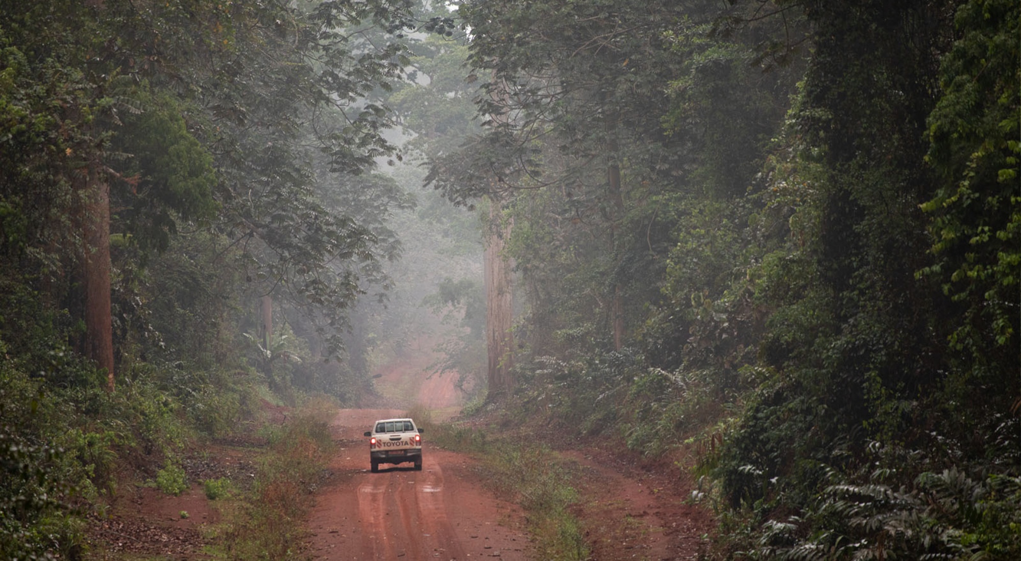 ALPI forests in Cameroon obtain FSC® certification