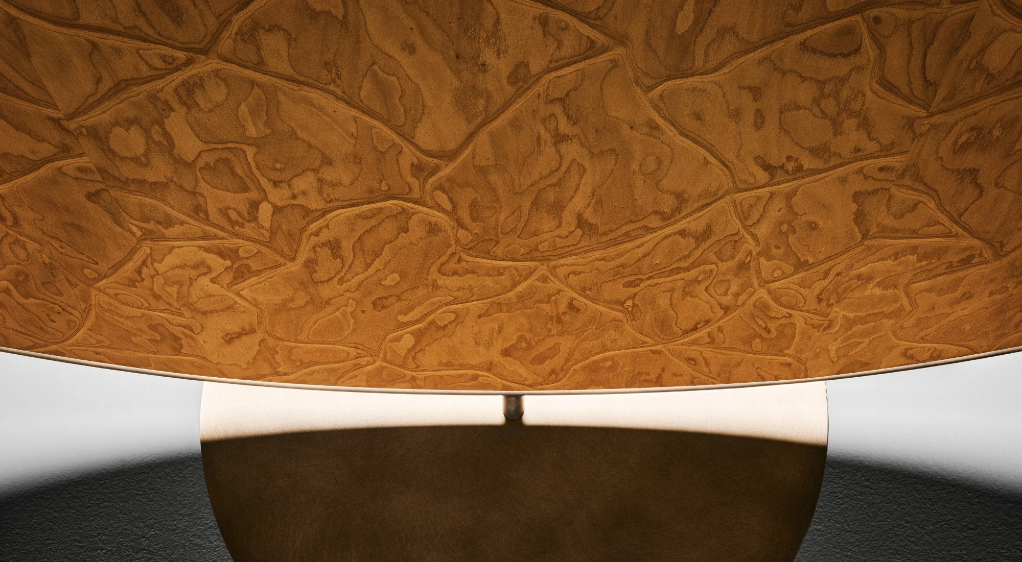 Actualités 2025 / ALPI Agreste / Design Estúdio Campana