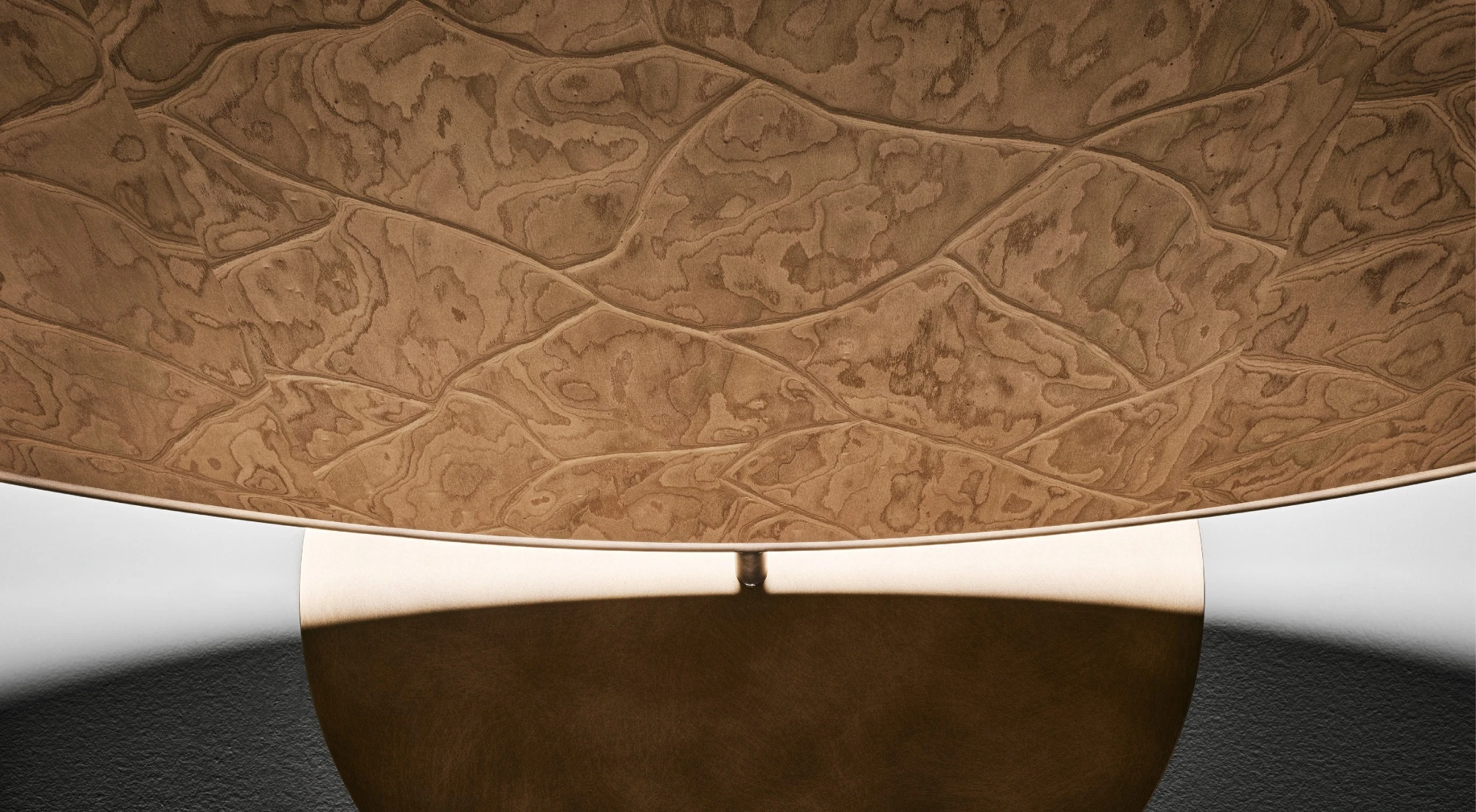 Actualités 2025 / ALPI Agreste / Design Estúdio Campana